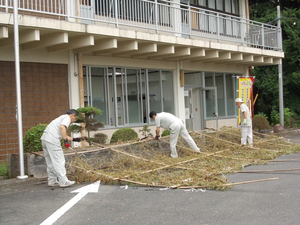 グリーンカーテン撤去作業