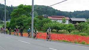 サイクリング