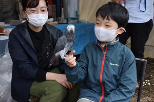 子供と鳥の写真