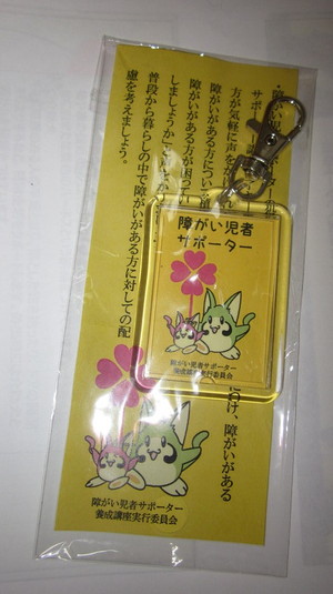 syougaikeyring