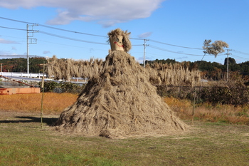 20231125-tantanmaturi-tantanbocchi