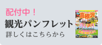 配布中！ 観光パンフレット　詳しくはこちらから