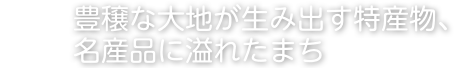 豊穣な大地が生み出す特産物、名産品に溢れたまち