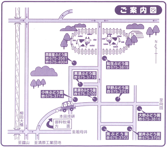 観光ブドウ園