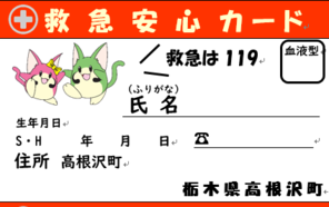 救急安心カード（表）