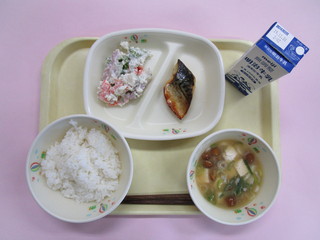 給食写真（11月19日）